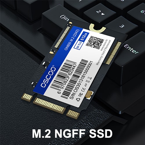 M.2 SATA 2242 SSD