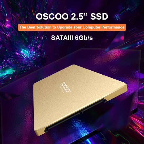  2.5-inch SATA Solid State Drive (SSD)  Gold Series