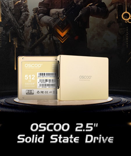  2.5-inch SATA Solid State Drive (SSD)  Gold Series