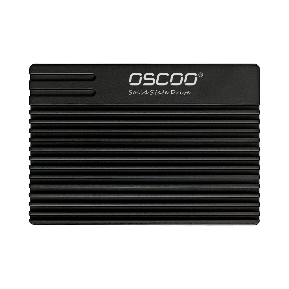 OE200 U.2 NVME Enterprise SSD