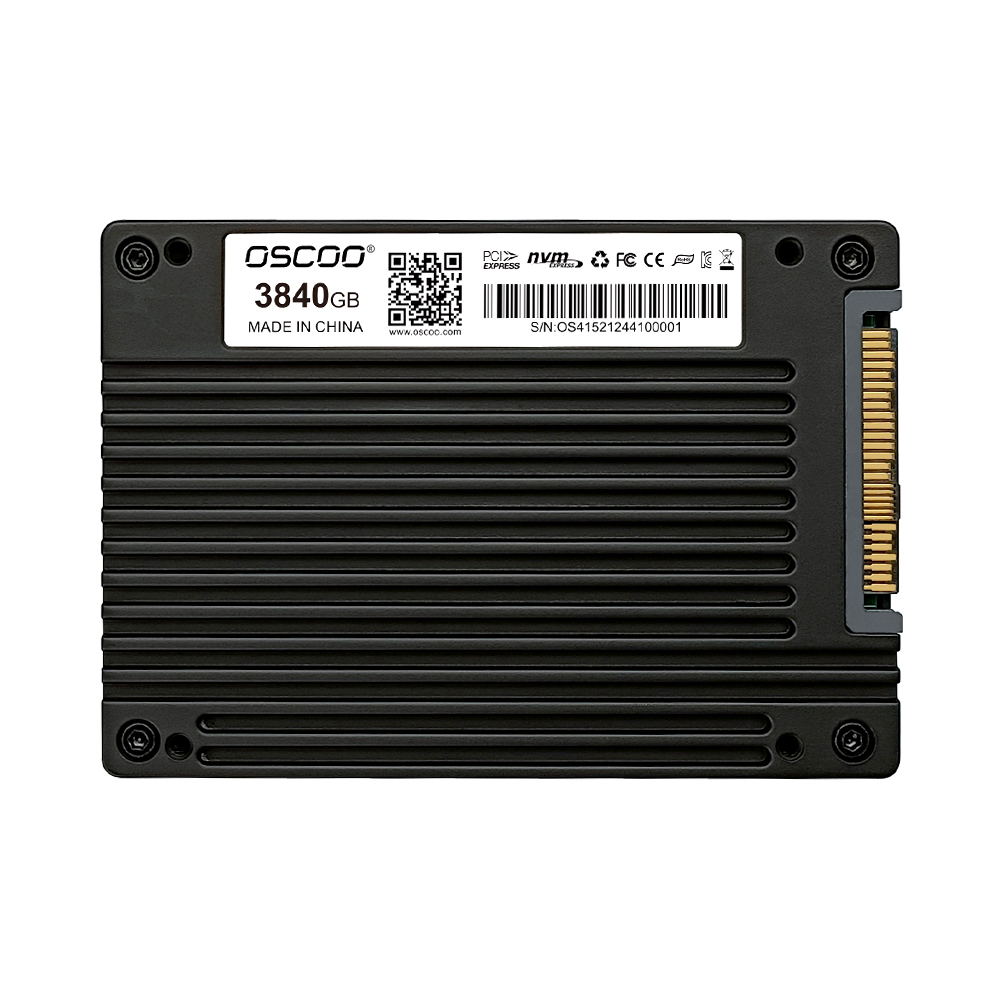 OE200 U.2 NVME Enterprise SSD