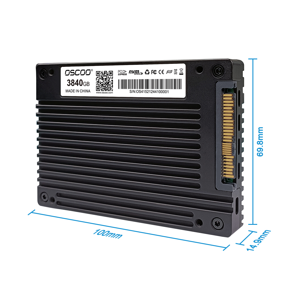 OE200 U.2 NVME Enterprise SSD